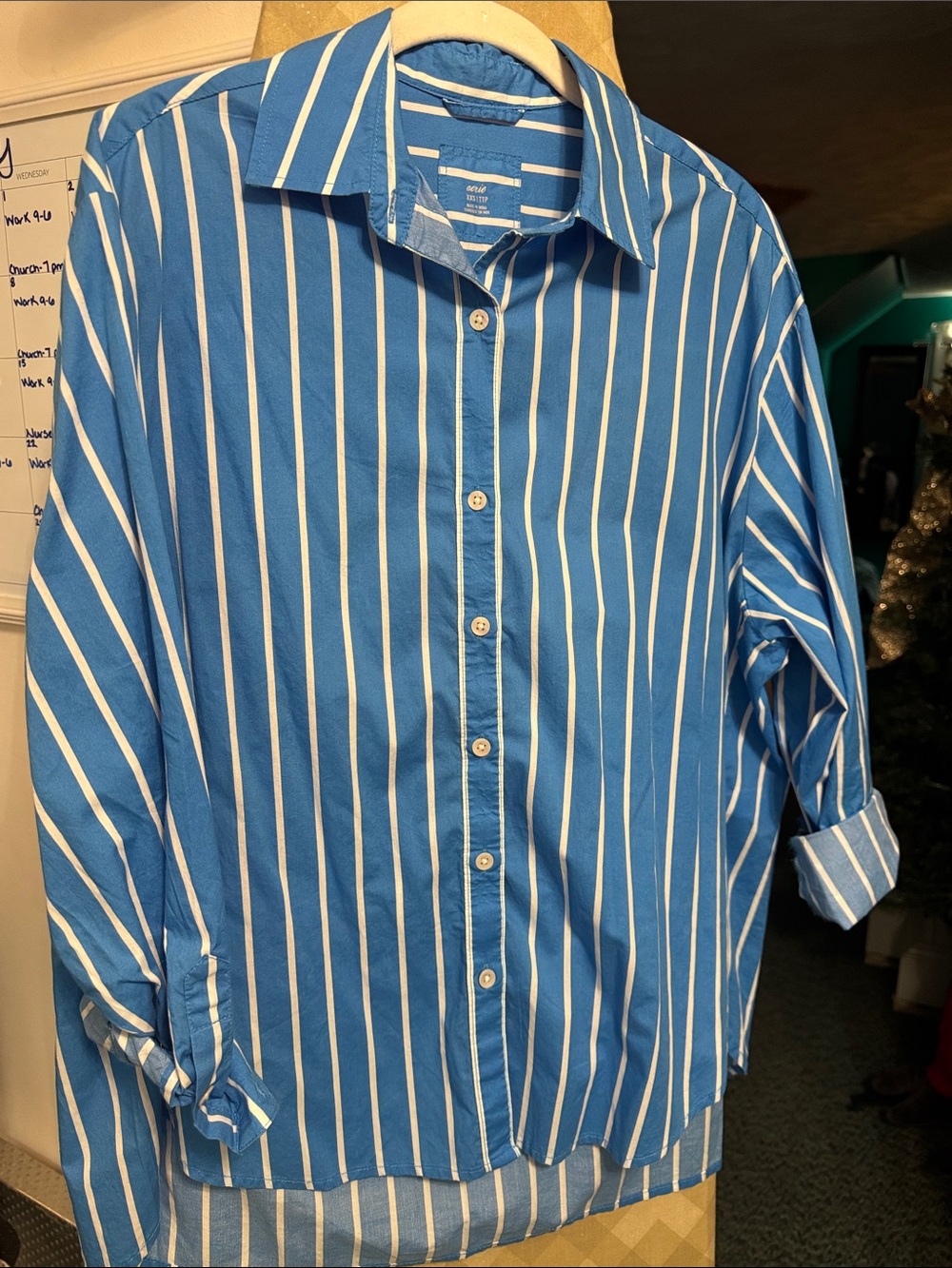 Blue Striped Button-Down Shirt
